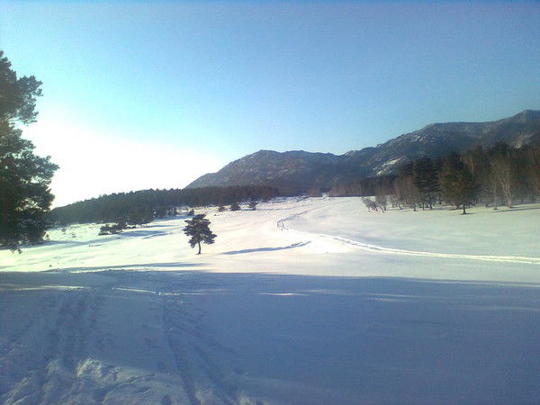 Асем Балбырбаева