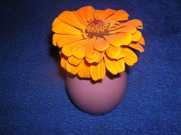 Роман Шуманский