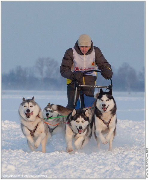 Мария Житомирская