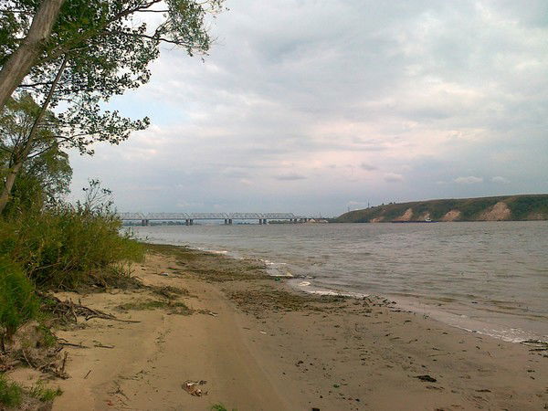 Виолетта Машковцева