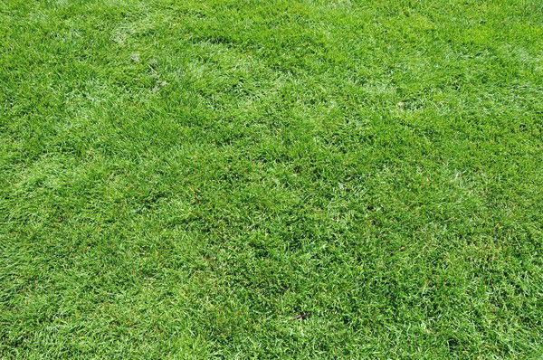 Владимир Михайлович Маслов