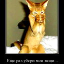 Александр Грысь