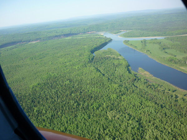 Олег Усанов
