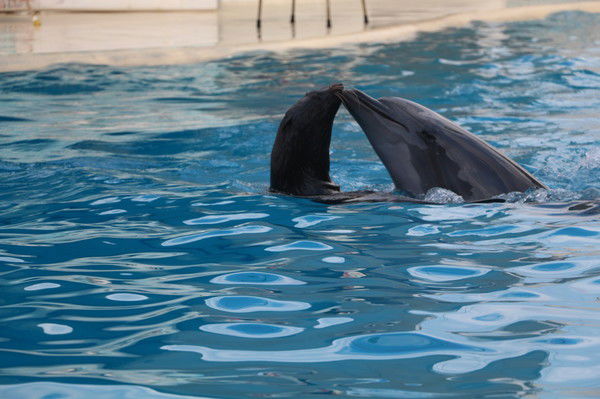 Наталья Байковская