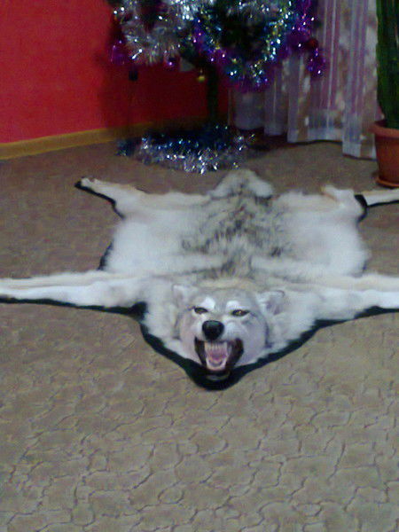 Куаныш Доскожаев