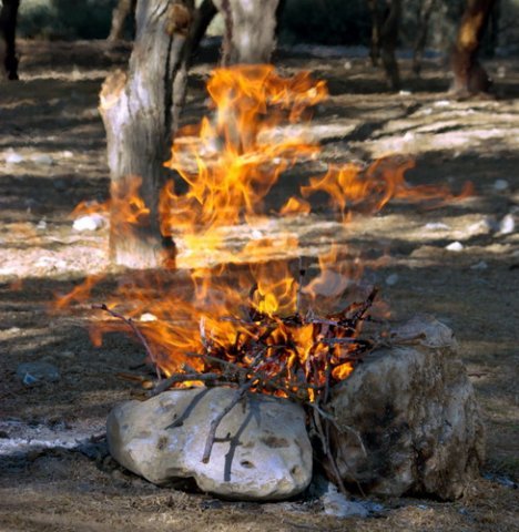 Агния Лукка