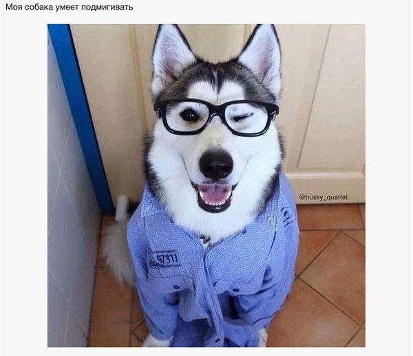 Алёна Марьясова