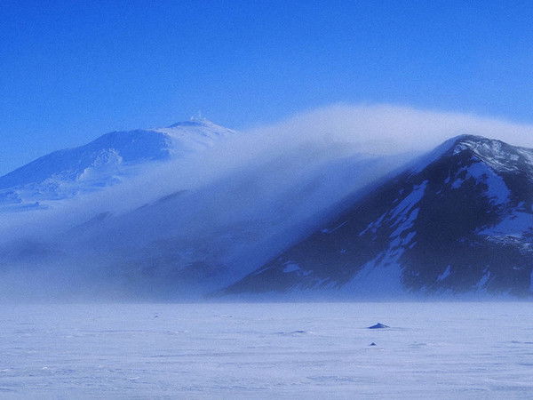 Елена Маслий