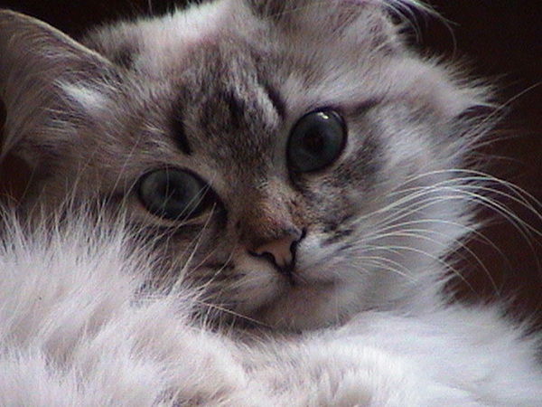 Лилия Аксенова