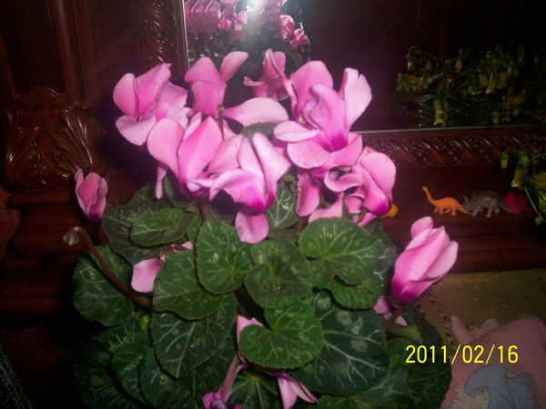 Татьяна Подбуртная