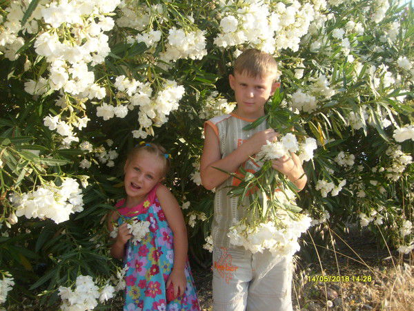 Тимур Челик