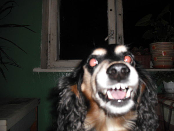 Наталья Ната