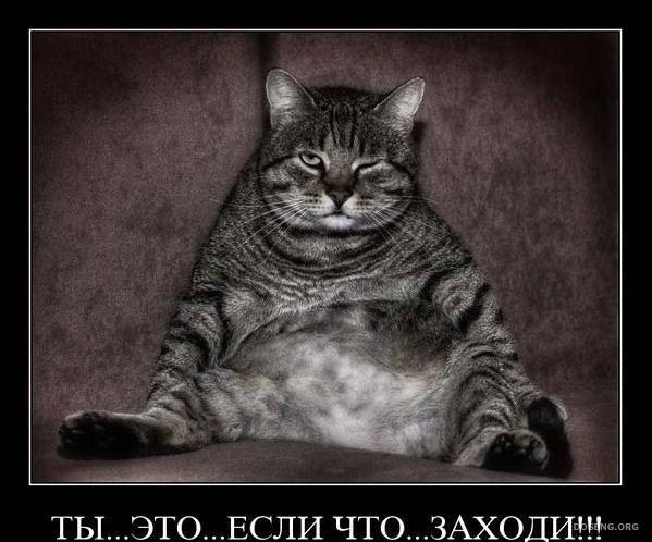 Ренат Ренат