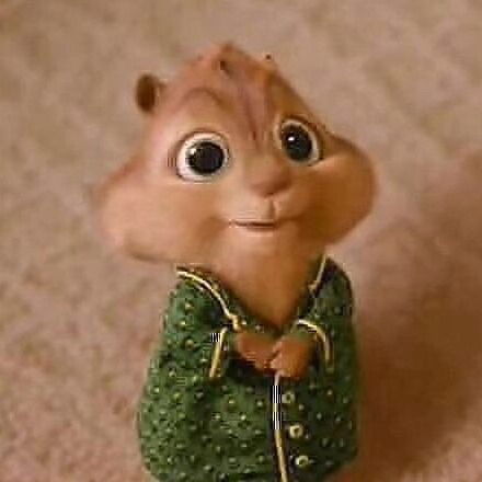 Александр Хибученко