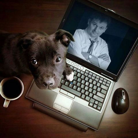 Адвокаты Находка