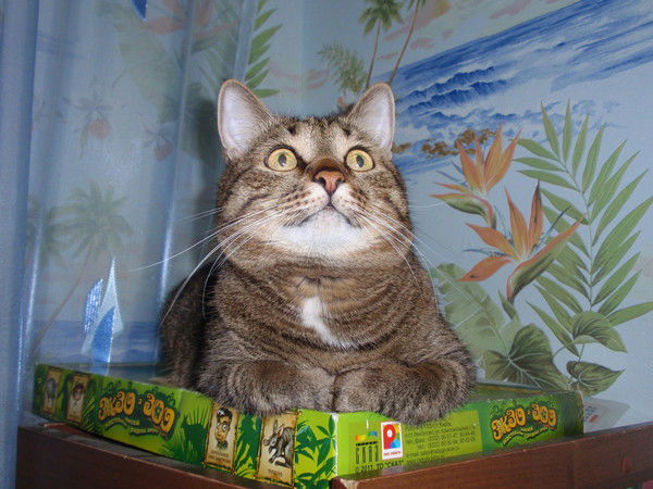 Жанна Цахновская