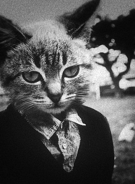 Вадим Жидков