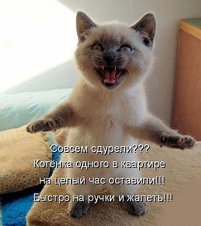 Николай Осечкин