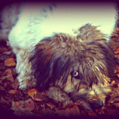 Аня Клякина