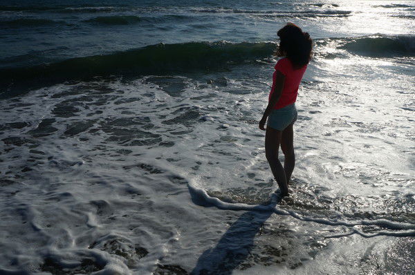 Заяц Соколова