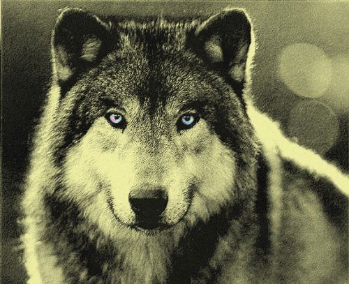 Сергей Бысик