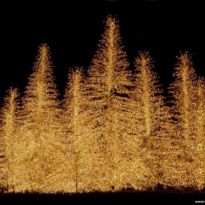 Екатерина Зинчук