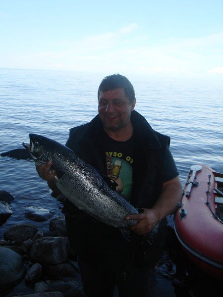 Николай Дорошенко