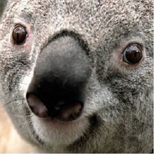 Александр Тиханов