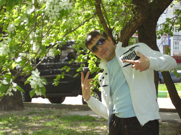 Ион Ставица