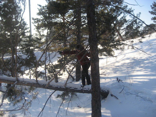 Роля Роллина