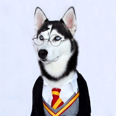 Гріша Нiкiфоряк