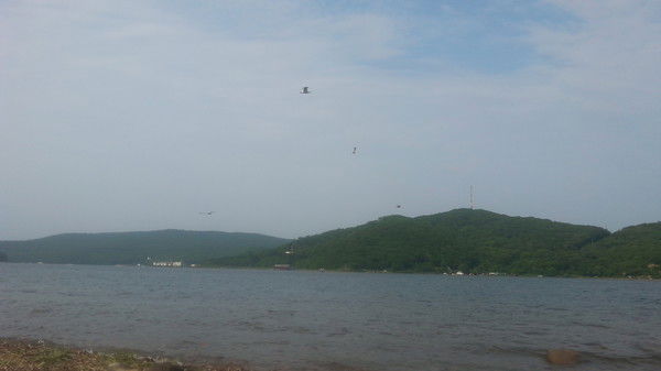 Любовь Полякова