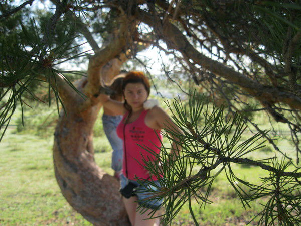 Екатерина Гулина