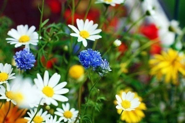 Акбермет Калбековна