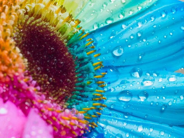 Татьяна Козлова