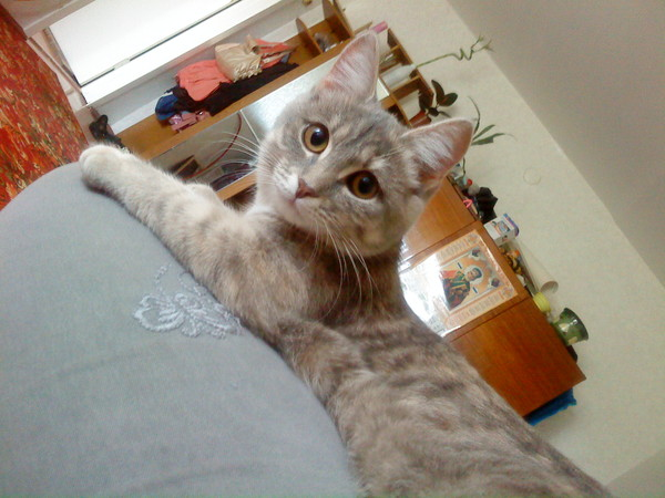 Валентина ...