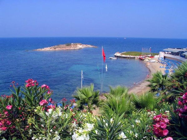 Татьяна Андреева