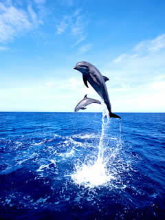 Ирина Гагарина