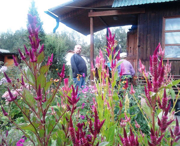 Михаил Куляшов