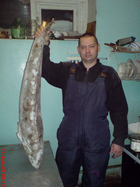 Александр Титаренко