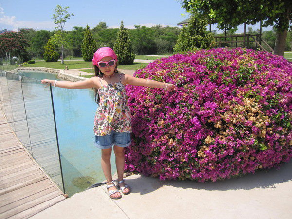 Александра Цай