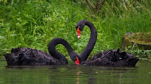 Aрина Иванова