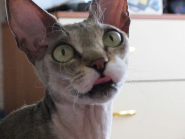 Артём Таратун