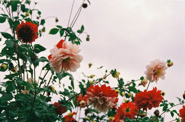 Мария Немшанова