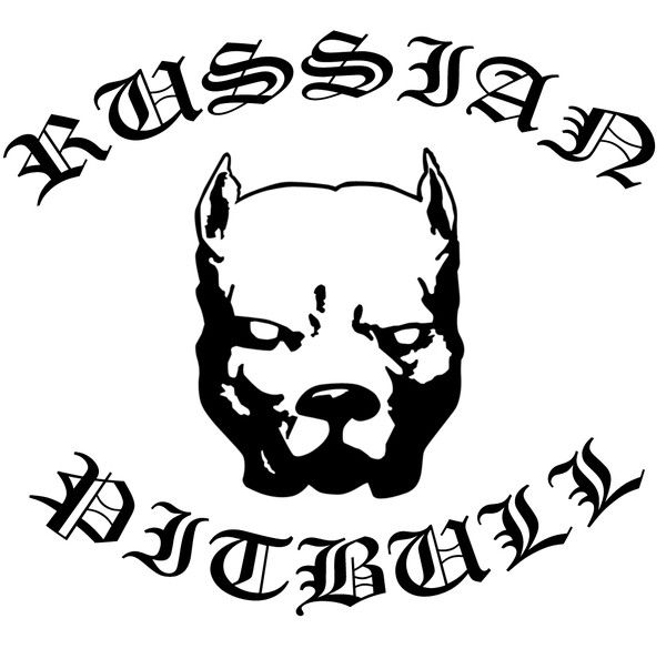 Илья Картавых