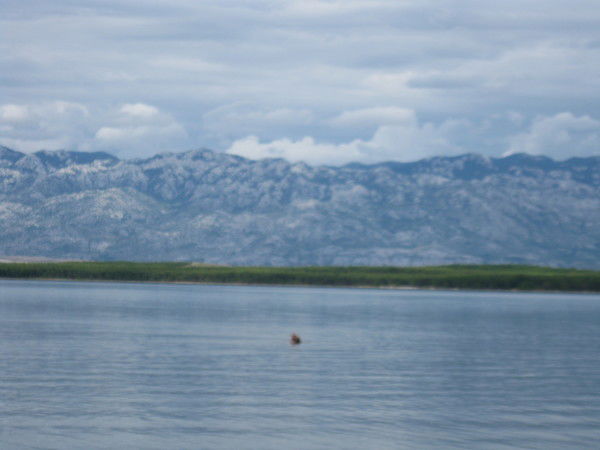 Олег Шипилов