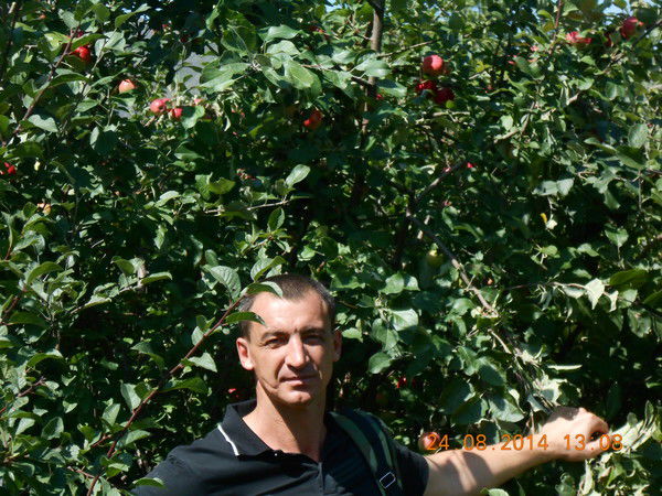 Владимир Лисовой