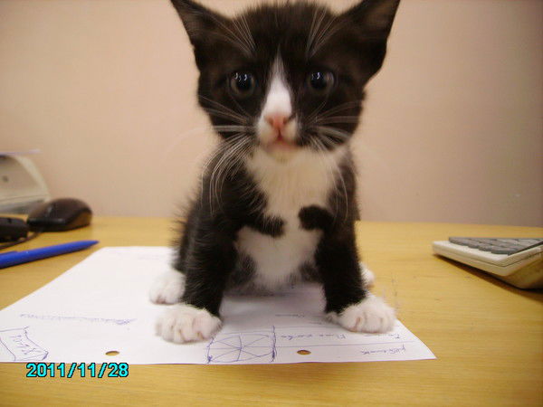 Алексей Юлия