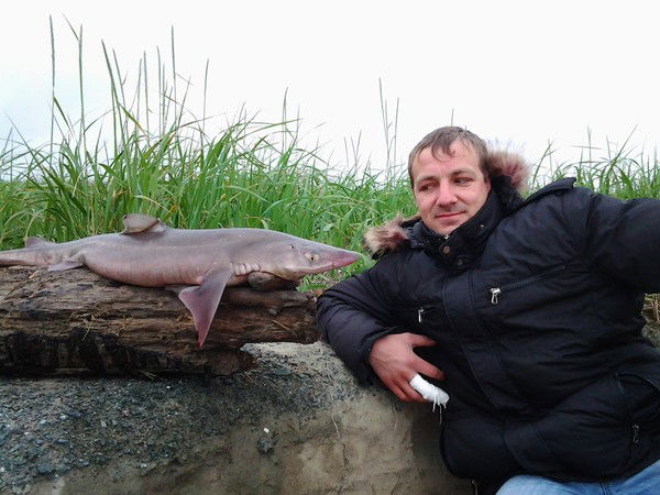 Андрей Бородин