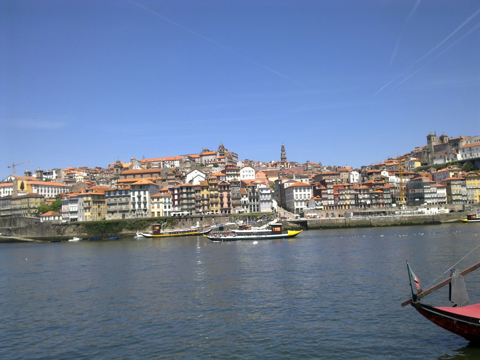 Птичка Хочу В Италию